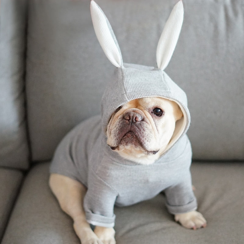 Rabbit Ears Shaped Dog Cat Hoodie