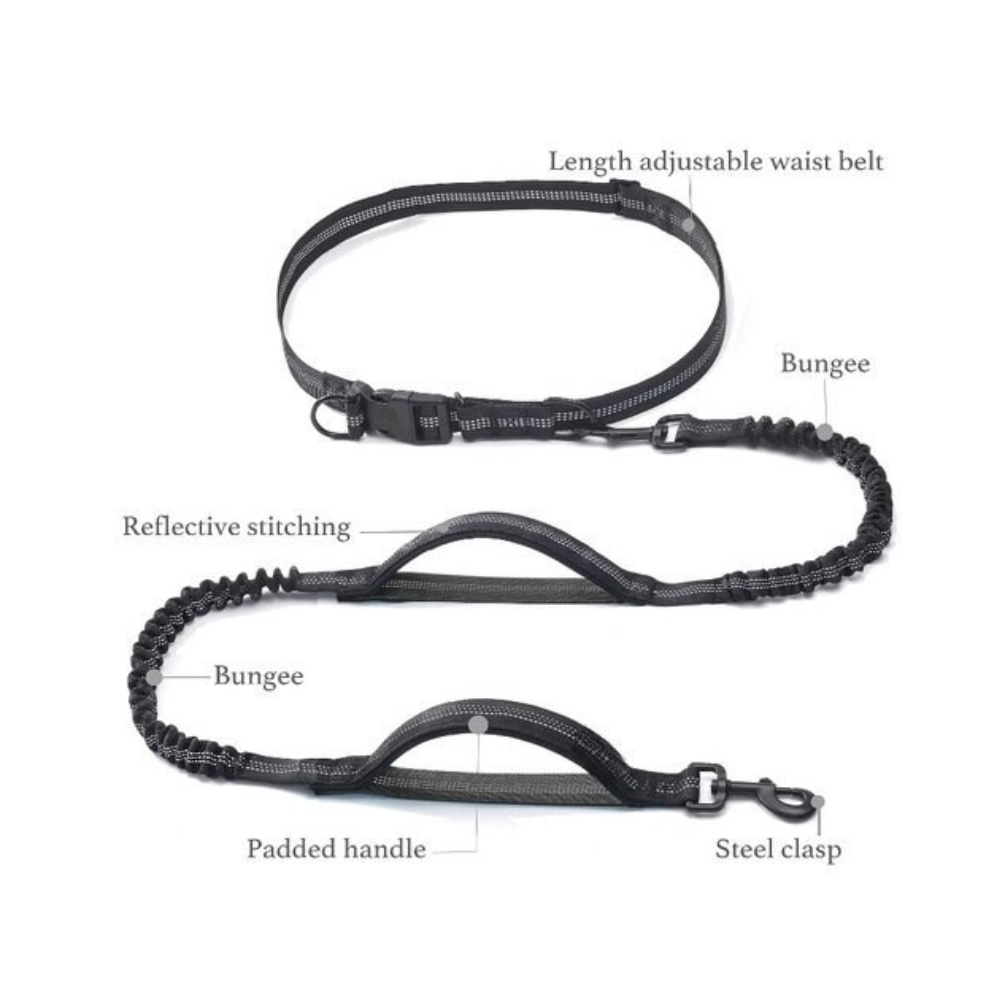 Reflective Bungees Running Dog Leash