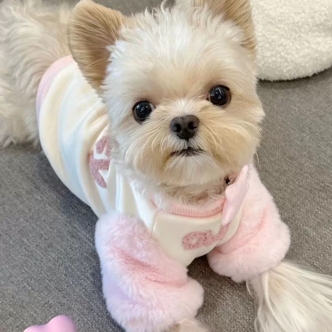 Cute Honey Printed Dog Cat Hoodie