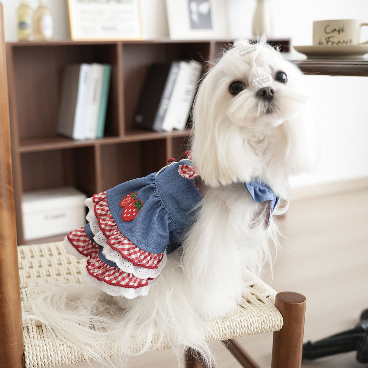 Sweet Strawberry Pattern Denim Dog Cat Dress