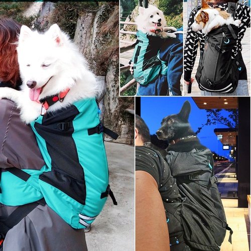 PetGenius Pet Carrier Backpack