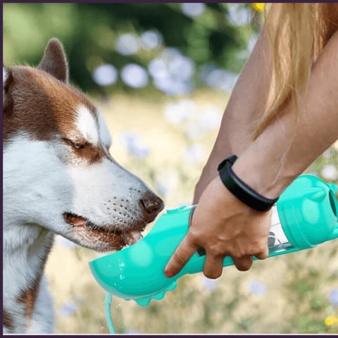 🐶🐶Versatile portable pet water bottle Drinking bowl