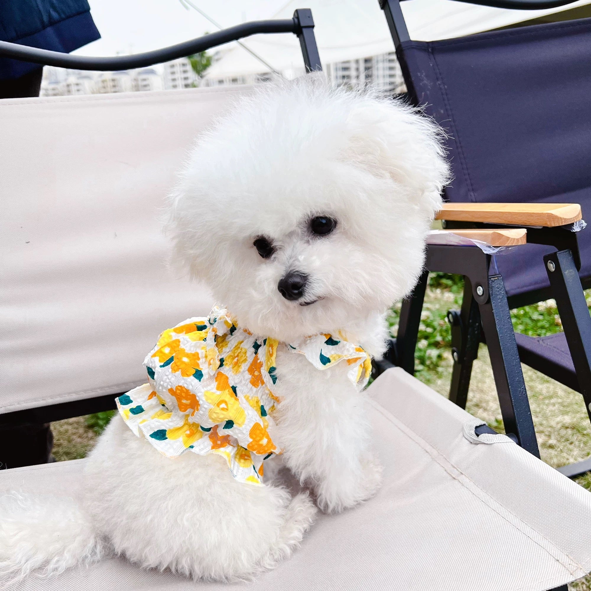 Breathable Sweet Floral Dog Cat Dress