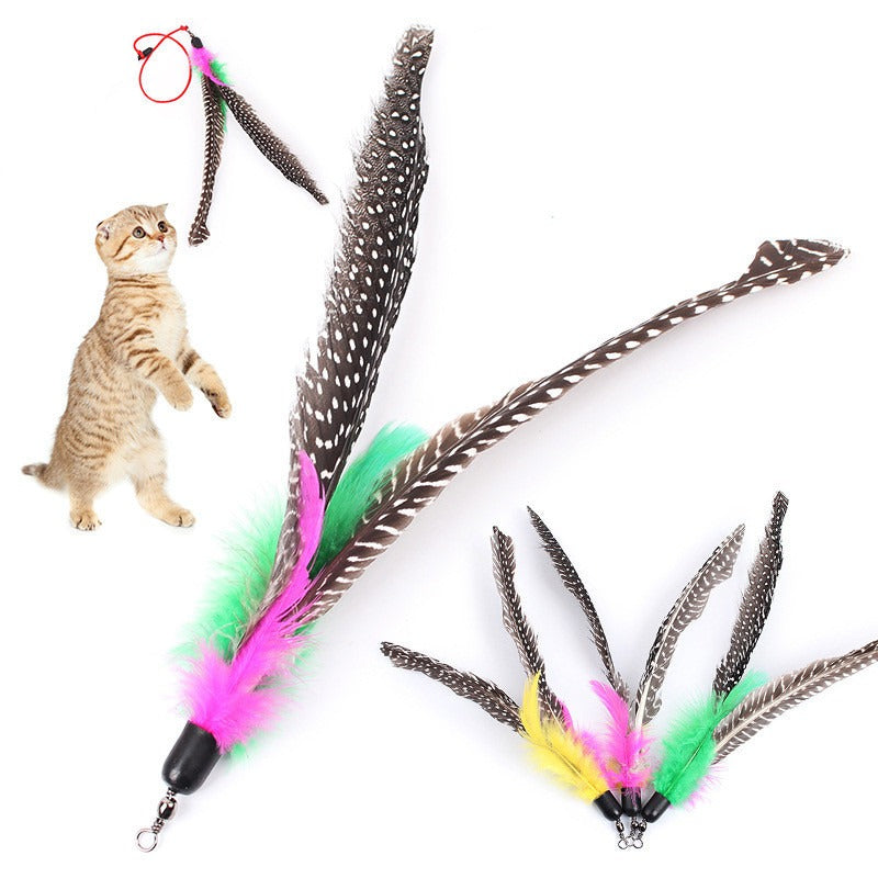 5 Pcs Bird Feather