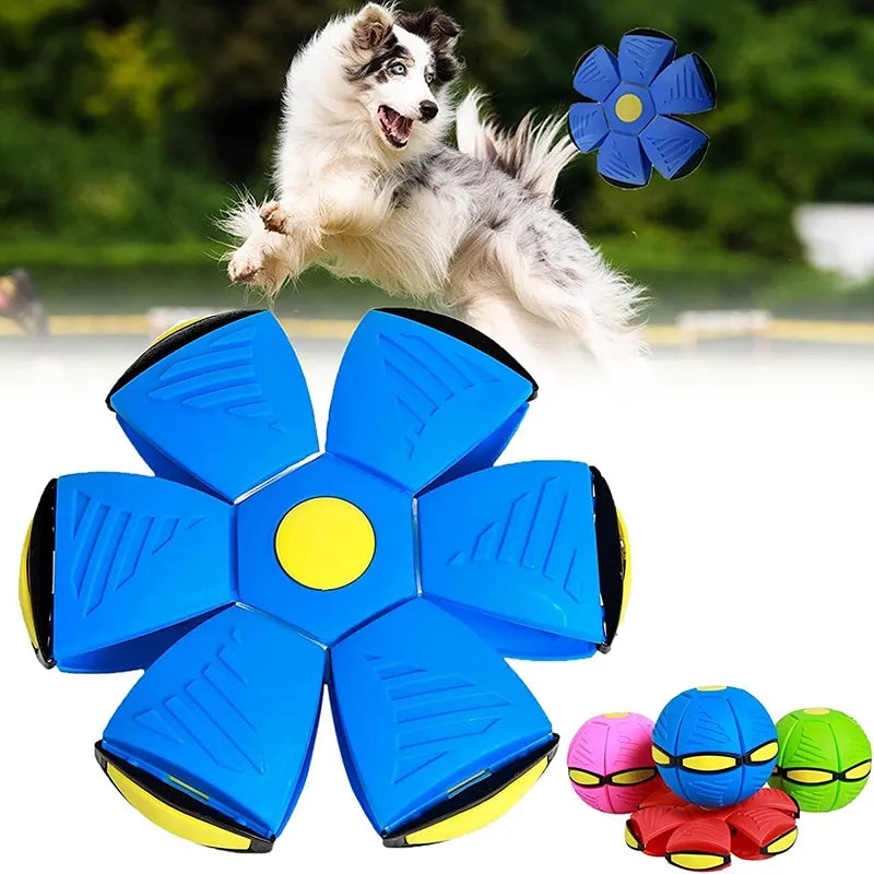 Doggy disk ball