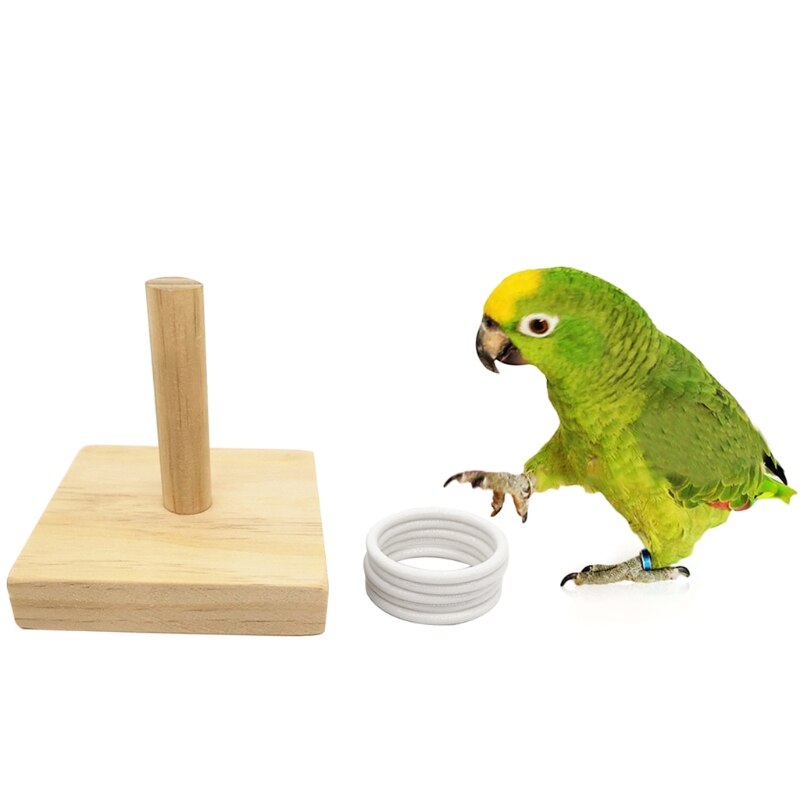 Birds Training Toy Set