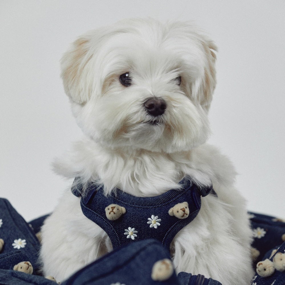 Bear Decor Denim Dog Harness/Collar/Bag