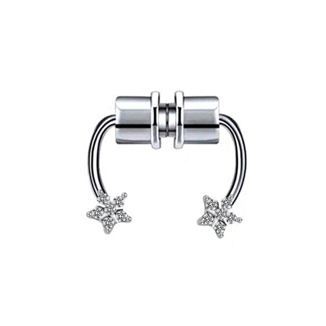 Magnet Septum Ring