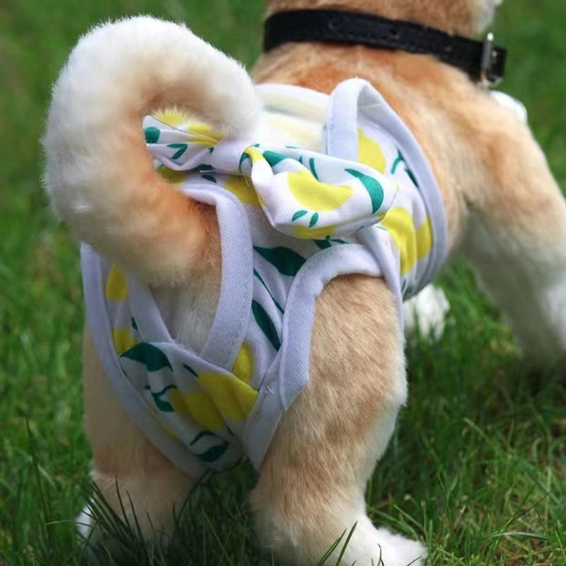 Dog Physiological Pants Puppy Anti-harassment Peace Of Mind Pants Teddy Female Dog Menstrual Diaper Sanitary Pants Pet Holiday Pants