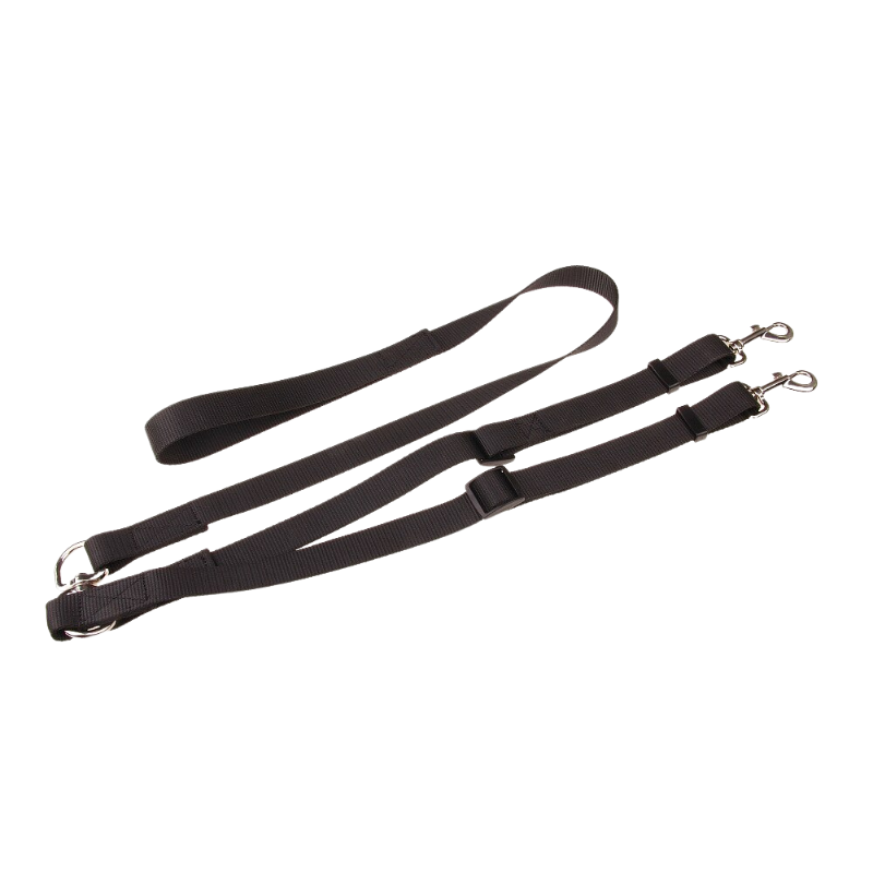 Double Dog Leash