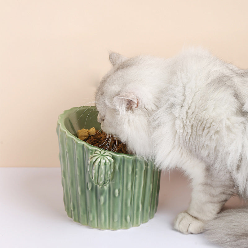 Cactus Shaped Cat Bowl