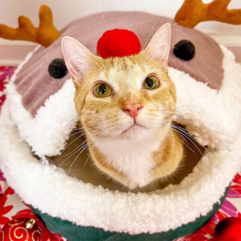 Reindeer Style Cat Bed