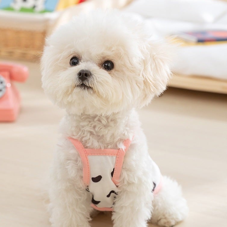 Cute Fruit Decor Dog Vest Harness