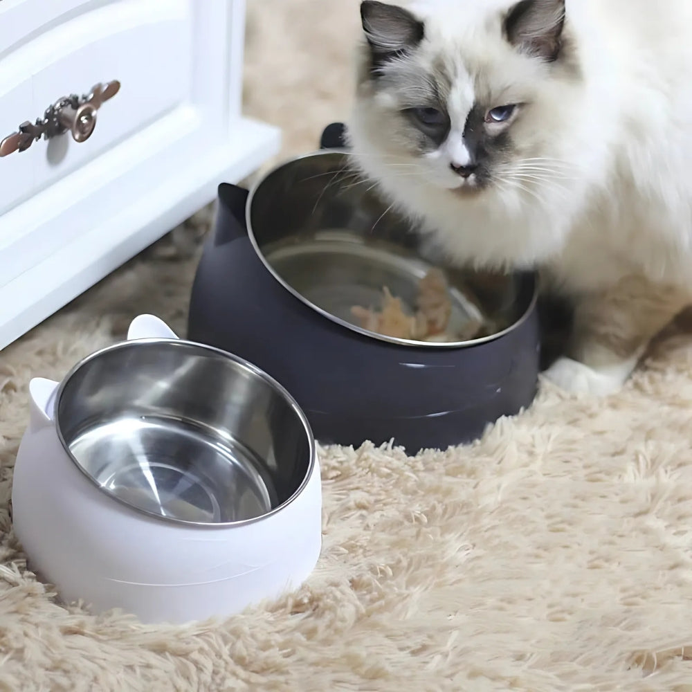 Pet Feeding Bowl