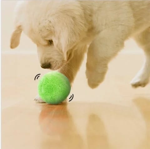 Active Rolling Ball Anti-Anxiety Automatic Moving Ball