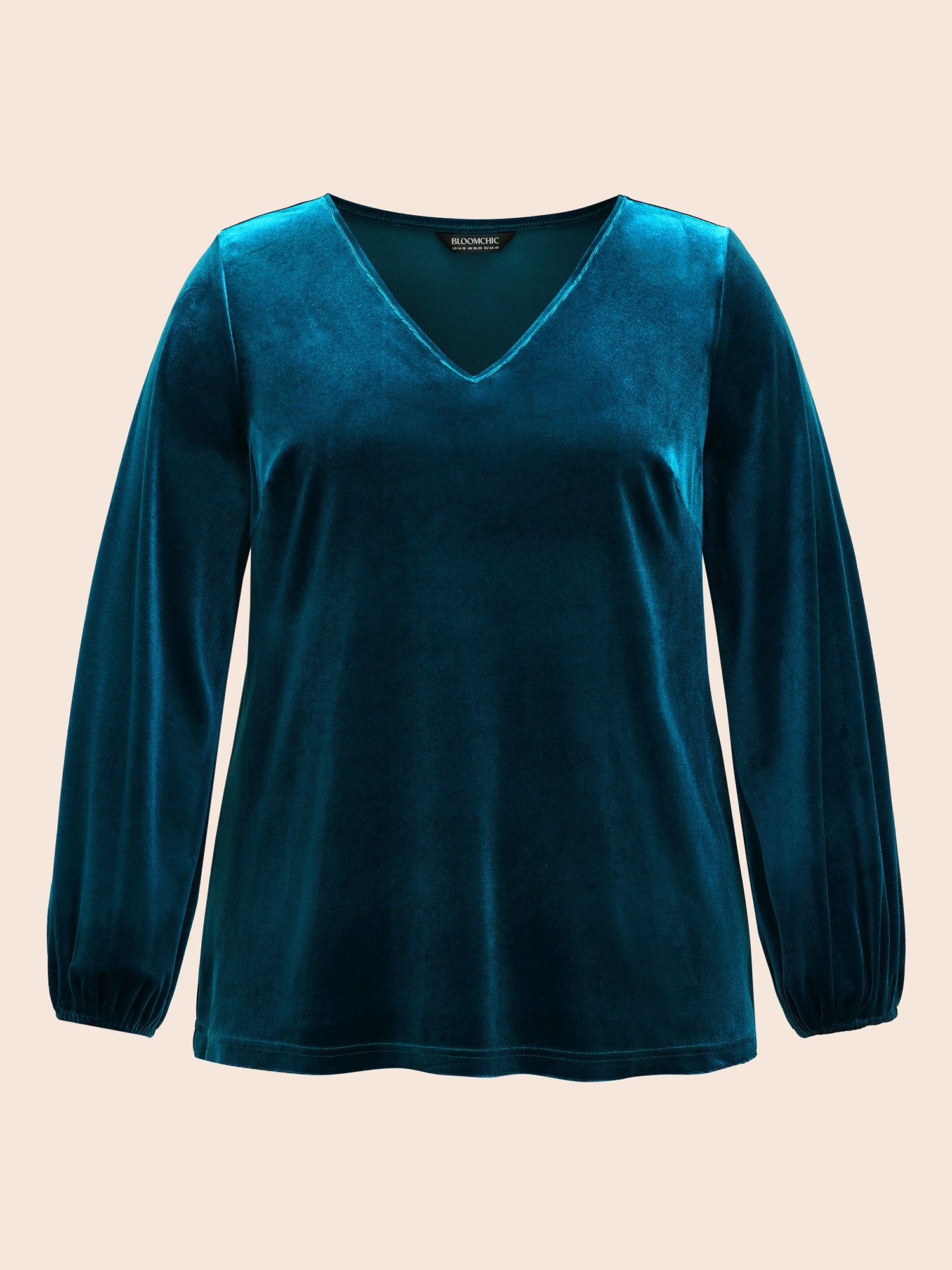 V Neck Velvet Lantern Sleeve Blouse