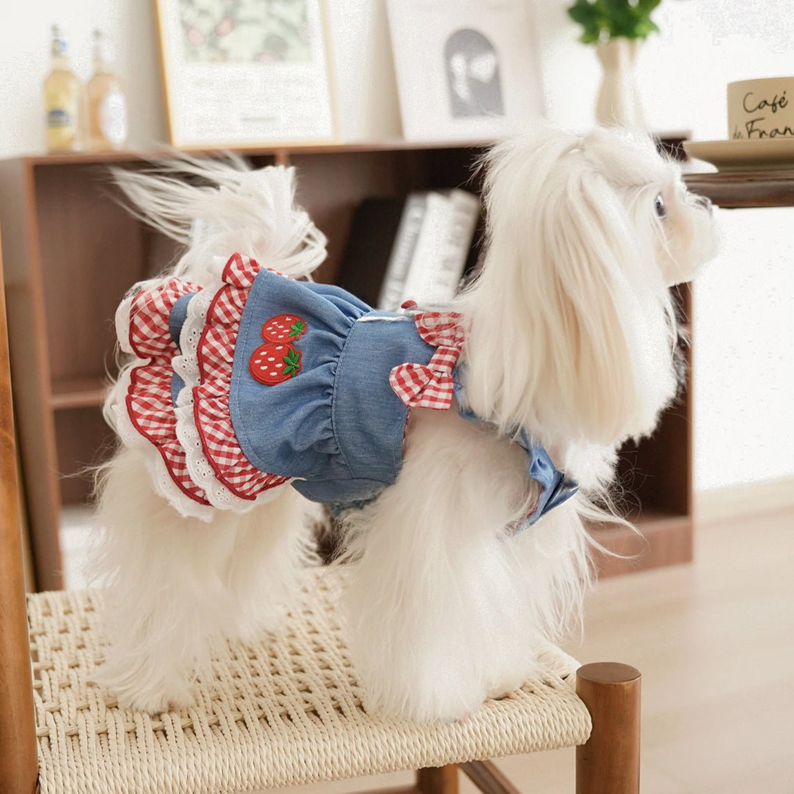Sweet Strawberry Pattern Denim Dog Cat Dress