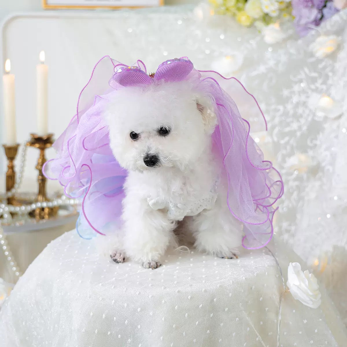 Bow/Mermaid/Ear Pattern Dog Cat Veil