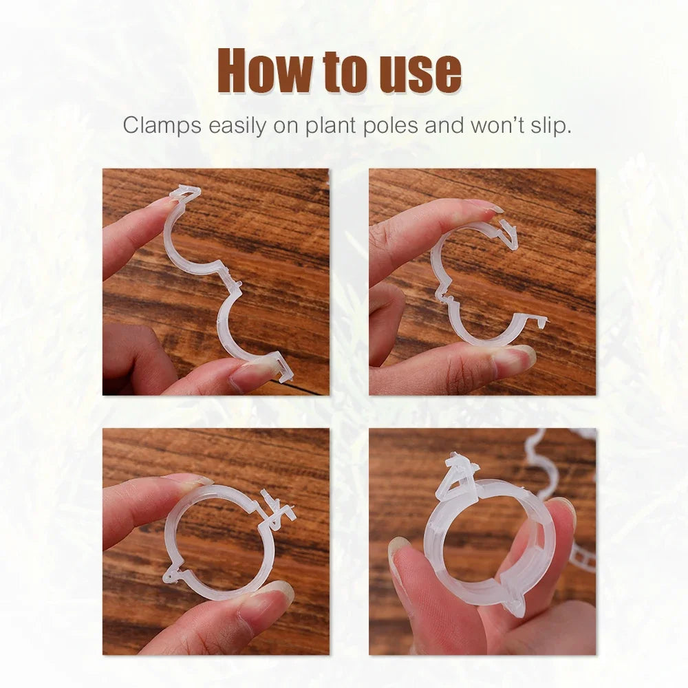 Plant Support Clips