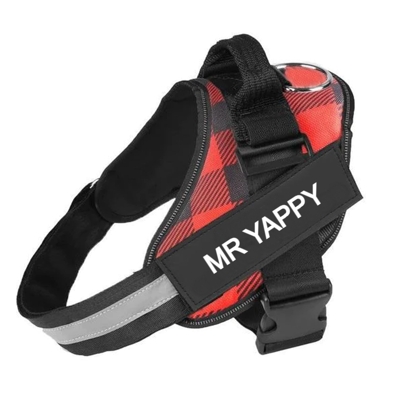 Custom No Pull Dog Harness with Name and Phone Number. Heavy Duty Personalized Pet Vest