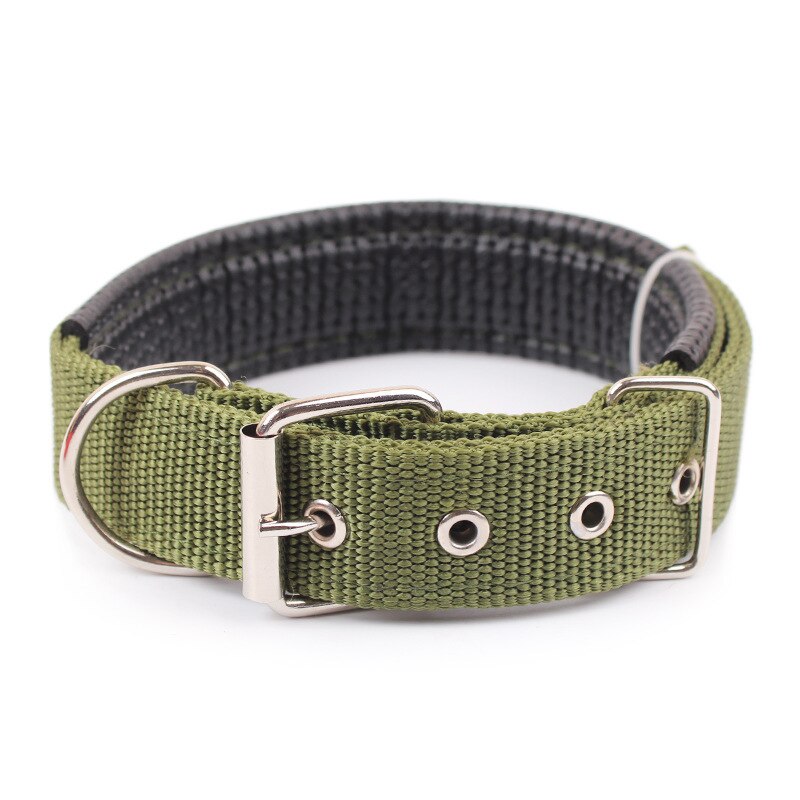 Double Layer Padded Collar