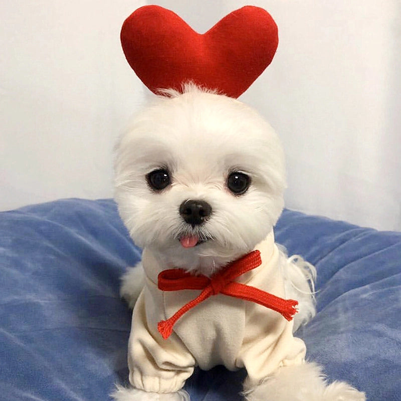 Puppy Dog Autumn And Winter Small And Medium-sized Dog Love Two-legged Cat Cute Pet Clothes Supplies