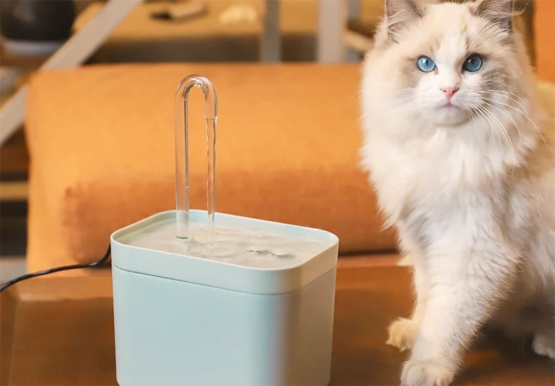 Automatic Cat Water Fountain