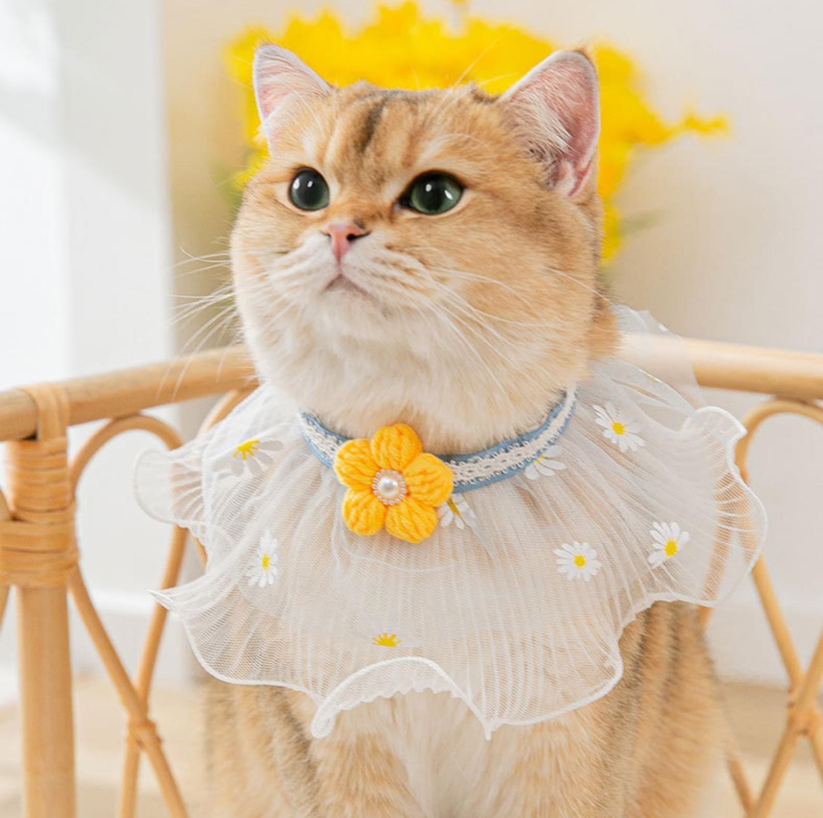 Lace Bib & Floral Necktie for Cats and Dogs