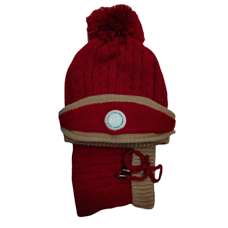 Women's Basic Minimalist Color Block Pom Poms Eaveless Wool Cap