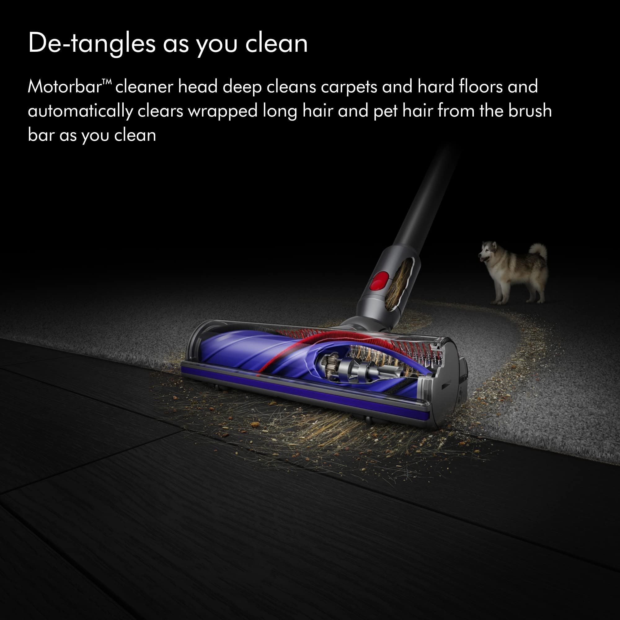 QVC 2025 New year promotion🎉Buy 1 Get 1 Free🎁Dyson V8 Animal Extra De-tangle Cordfree Vacuum with 8 Tools