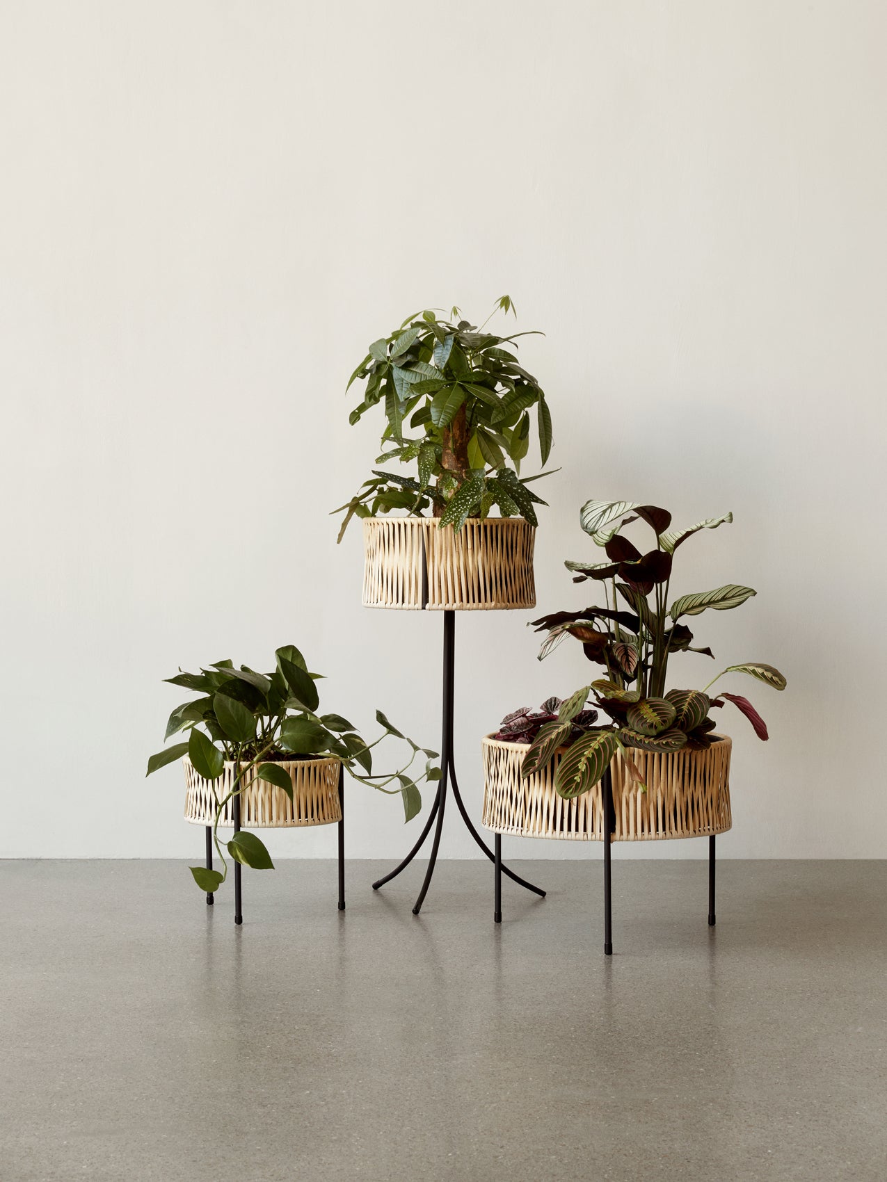 Umanoff. Planter. Set of 3