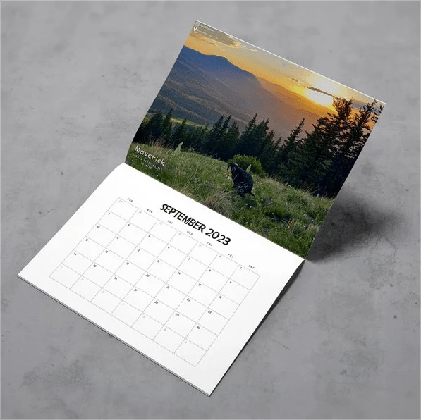 Funny Calendar Gift - Dog Poop Calendar