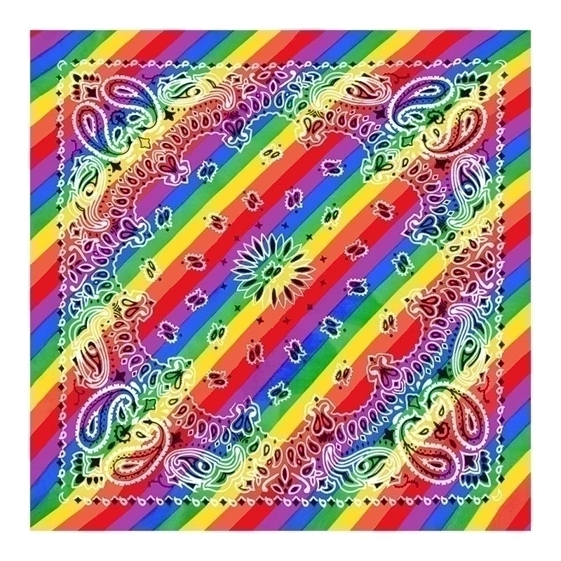 12 Pieces Unisex Casual Minimalist Streetwear Rainbow