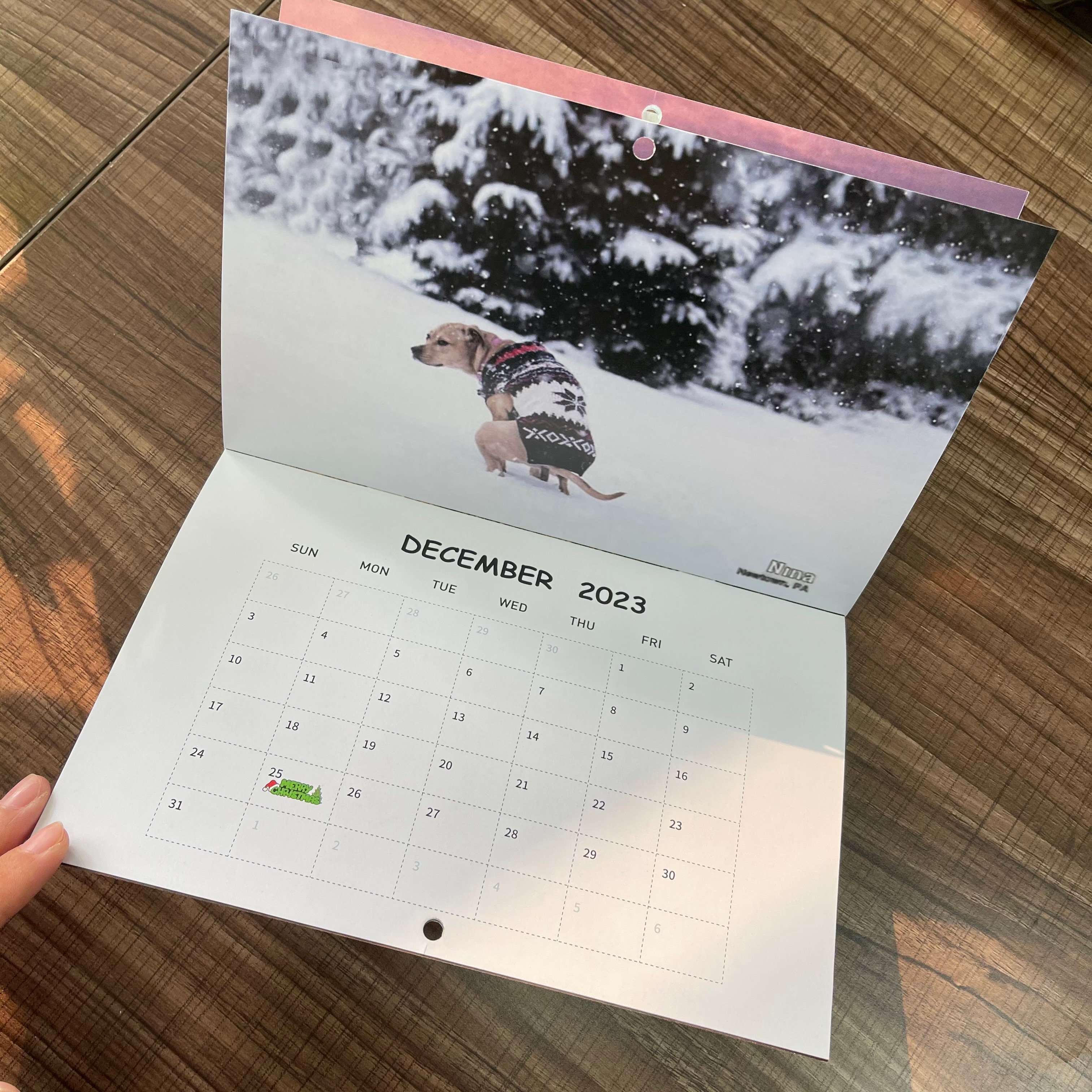 Funny Calendar Gift - Dog Poop Calendar