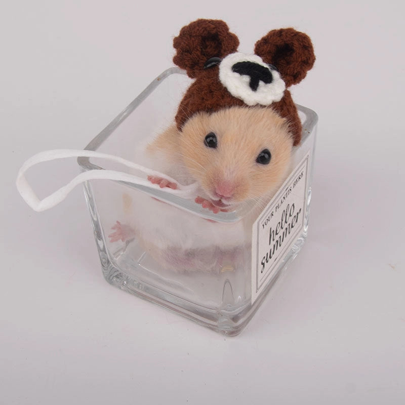 Hamster Hat Parrot Hair Band Photo Small Animal Headdress Handmade Frog Hat Ornaments Hedgehog Headgear Explosions