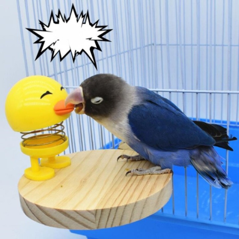 Hanging Bird Plastic Springs Chicken Toy