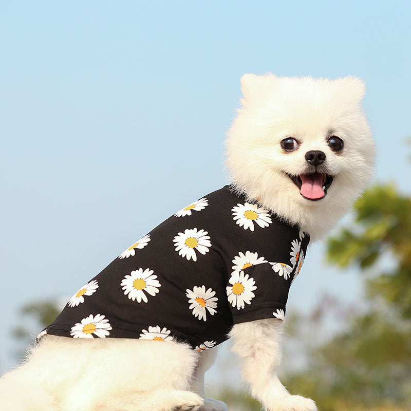 Daisy Printed Dog Cat T-shirt