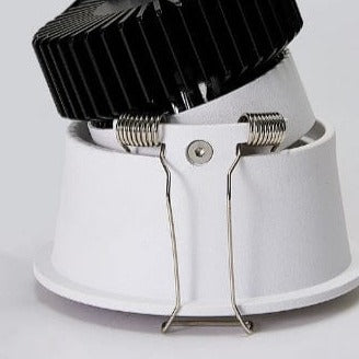 Trimless Downlight