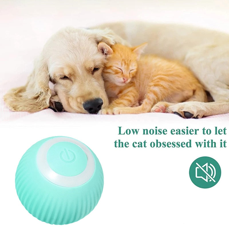 PetGenius Electric Ball Toy for Pets