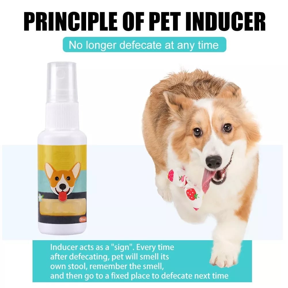 Pet Potty Here Training Spray