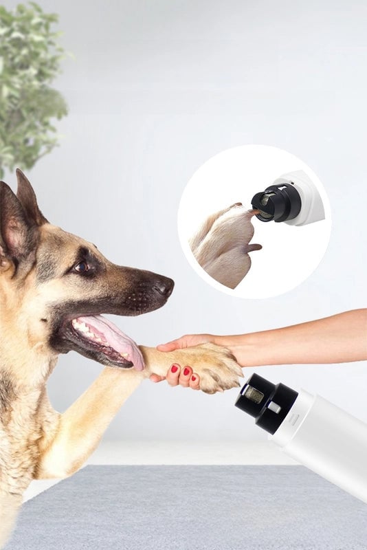 Pet Nail Grinder Electric Pet Nail Clippers Cleaning Beauty Pet Nail Clippers Nail Clippers Cat And Dog Nail Clippers