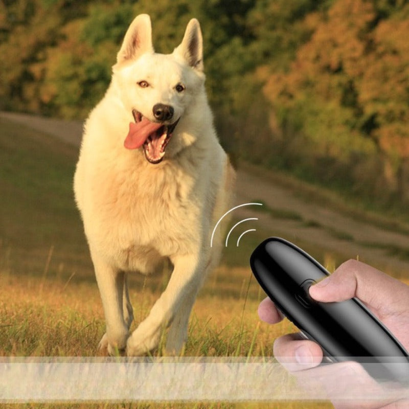 No Dog Noise Device