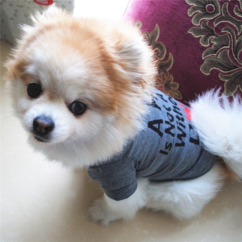 Pet Dog Clothes For Small Dogs Clothing Love Warm