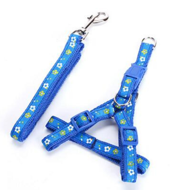 Stylish Dog Harness And Leash Set