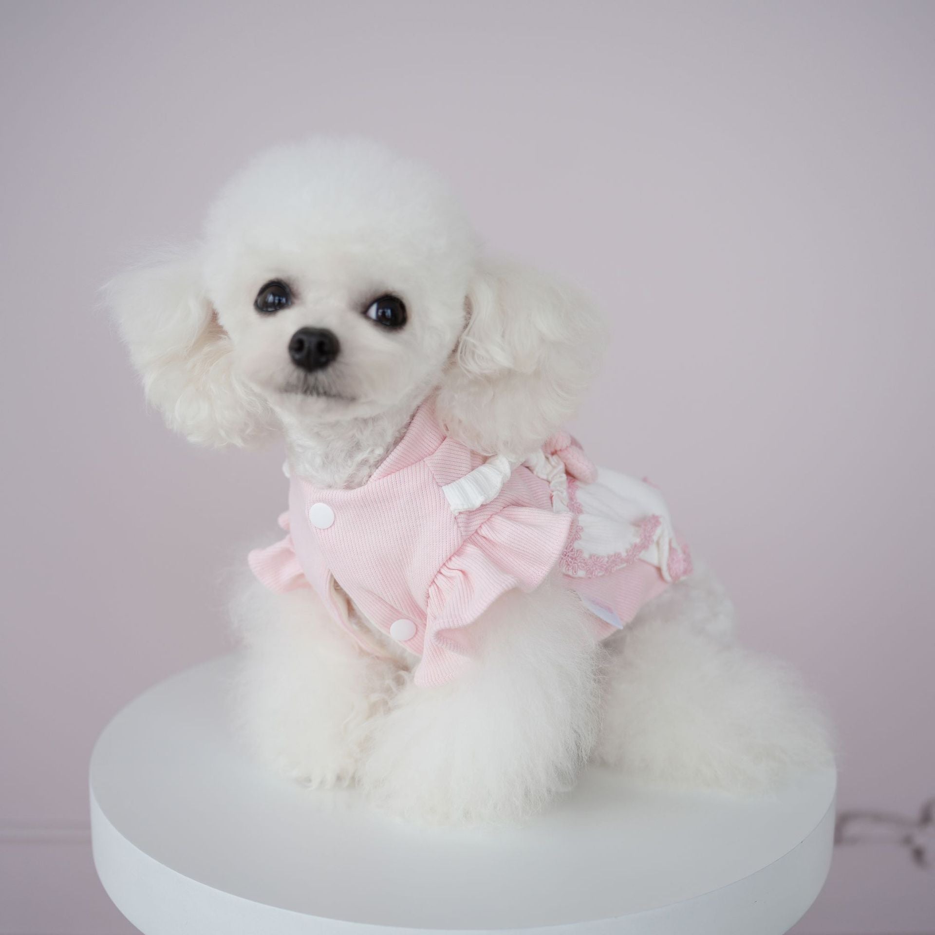 Sweet Knitted Flower Dog Cat Dress Harness