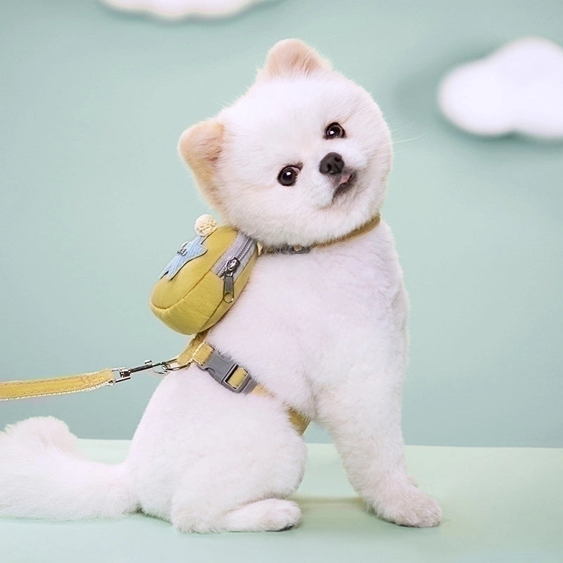 Cute Polyester Solid Color Leash