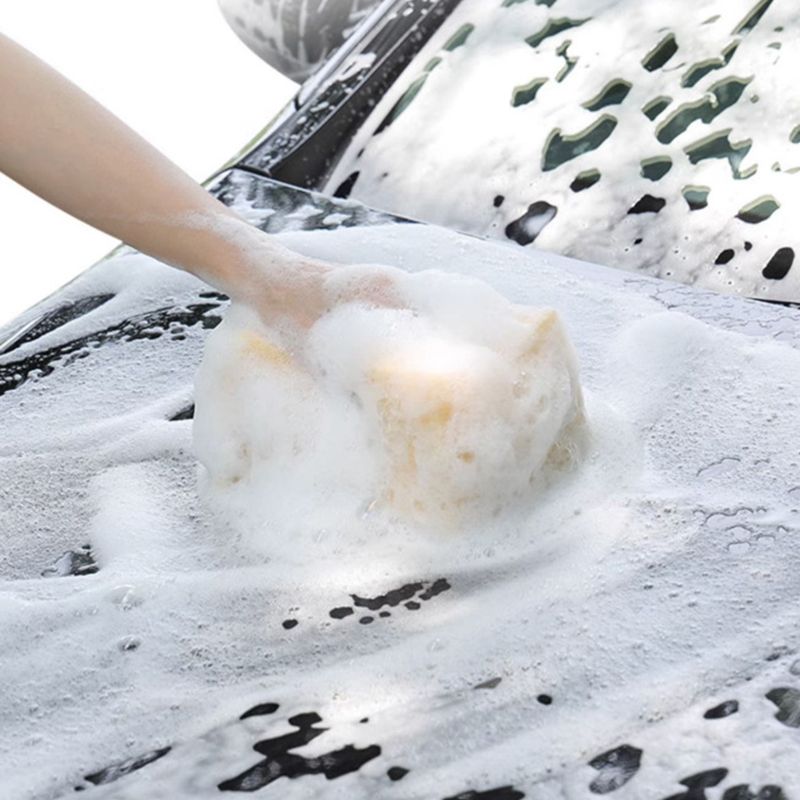 High-foaming Car Washing Sprayer