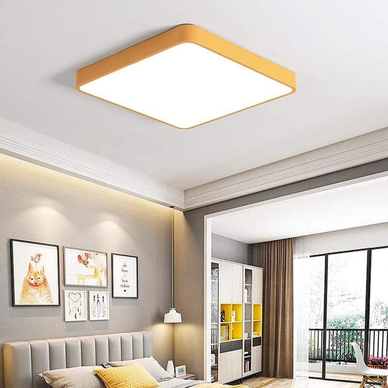 Baron Deux | 2 Color Ceiling Mounted Light