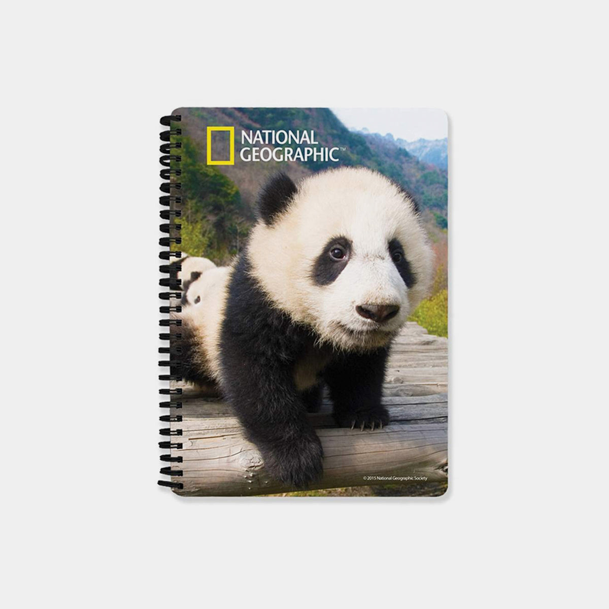 Panda 3D Cover A5 Diary