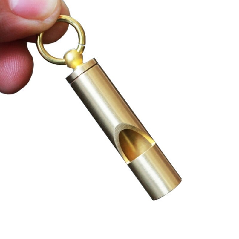 Pet Bird Training Whistle